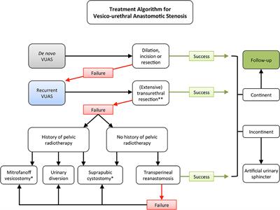 Contemporary Management of Vesico-Urethral Anastomotic Stenosis After Radical Prostatectomy
